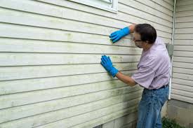 Best Custom Trim and Detailing for Siding  in Independence, LA